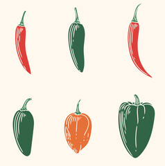 Chili pepper set. Original hand-drawn illustration of red, serrano, cayenne, jalapeño, habanero, and poblano chilies in a minimalist style. Illustrations for posters, cards, and graphic design. in vec