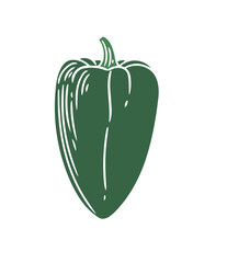 Original hand-drawn illustration of a spicy poblano pepper in a minimalist style. Illustrations for posters, cards, and graphic design.