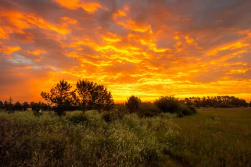 Fototapete Tiefes Orange Orange sunrise over the meadow  © Krista