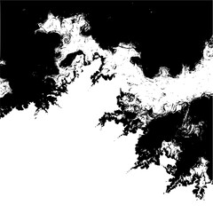 Fototapeta premium Abstract black and white fractal design with swirling patterns creating a unique visual effect image