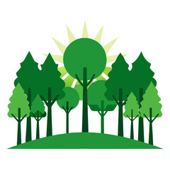 Obraz premium green trees in the forest