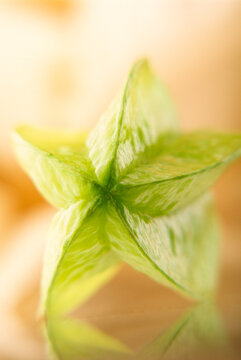 Carambola fruit on a light background, close-up.