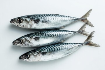 Naklejka premium Three whole mackerel fish arranged in a row on a white background