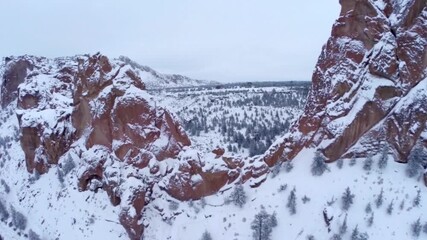 Aerial view of a snowy river canyon landscape in winter with mountains and trees - Powered by Adobe