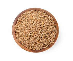 Wheat grains in bowl isolated on white, top view