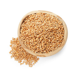Wheat grains in bowl isolated on white, top view