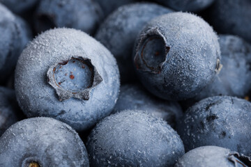 Many frozen blueberries as background, macro view
