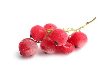Red frozen currant berries isolated on white