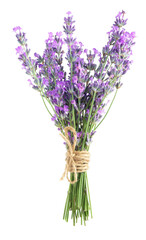 Naklejka premium Bundle of beautiful lavender flowers isolated on white