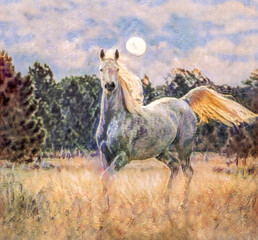 Stylized digital photo art,. Adult female Arabian Horse filly trots through tall grass meadow with full moon.