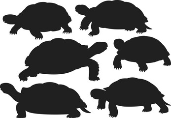 Turtle silhouettes collection, black vector reptiles, diverse turtle poses, animal anatomy study, shell shapes, biology illustration, wildlife design, isolated white background, nature concept.