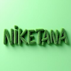 Name 'Niketana' made out of sponge. 3D render of the word ‘Niketana’ on the light green background.