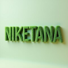 Name 'Niketana' made out of sponge. 3D render of the word ‘Niketana’ on the light green background.