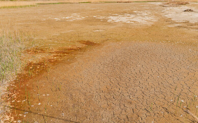 Landscape with the bottom of a dried lake and cracked earth