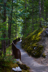 Trails of North Cascades © Lauren Parker