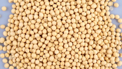 Light-tan soybean seeds densely packed