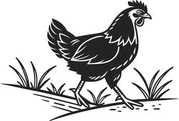 Obraz premium rooster in the grass