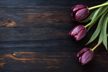 Dark wood texture with tulips on the side. High-resolution flat lay design perfect for seasonal or romantic themes