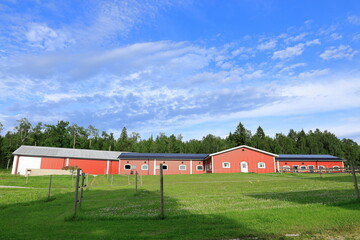 Red large houses and green lawn with mostly blue sky. Summer day in Bergslagen, Sweden.