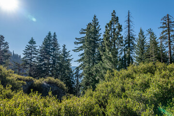 Glacier Point, Yosemite National Park, California. Sierra Nevada. 