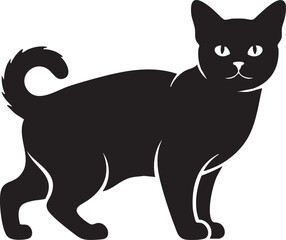 Black cat standing alert in silhouette