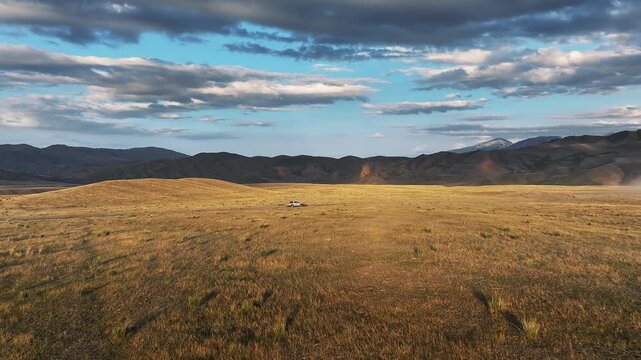 Horses running in a field at sunset with cowboy and truck