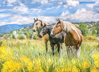 Three adult Quarter Horses in alpine maeadow, Durango, CO. Stylized digital photo art.