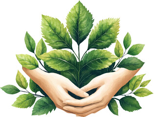 Hands gently holding vibrant green leaves, symbolizing nature and care for the environment in a minimalist designPrint