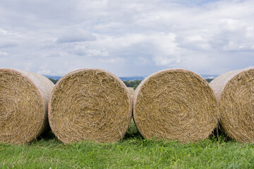 Four hay bales lined on grass