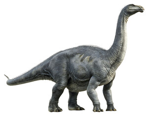 Fototapeta premium Gray dinosaur standing on white background isolated on a transparent background