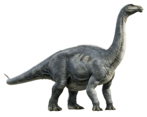 Gray dinosaur standing on white background isolated on a transparent background