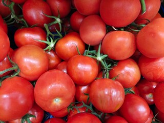Organic food. A bunch of red tomatoes. Background of healthy food.