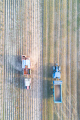 A blue tractor and a red tractor working in the countryside. A Rural Countryside Work