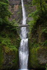 Fototapeta premium Multnomah Falls, Oregon