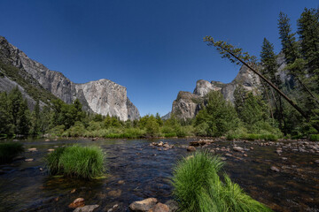 Yosemite National Park, California. Sierra Nevada. Yosemite Valley View. The Merced River is a 145-mile (233 km)-long tributary of the San Joaquin River. Carex nudata is a species of true sedge.	