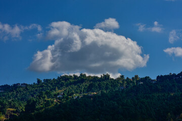 A stunning landscape of lush green pine forests on a hill, with a few houses and a bright blue sky in Meghalaya. 