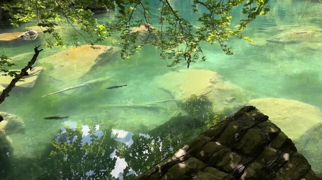 Crystal-clear Blausee lake in Switzerland, where the water is so transparent you can see fish swimming below. Pristine alpine nature, peaceful atmosphere, and stunning natural beauty. Kandergrund 