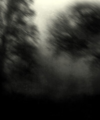 Gloomy scary forest, grunge horror nature wallpaper