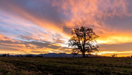 Dramatic sunset over a field
