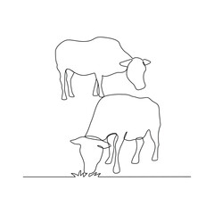 One continuous line drawing of Cow are eating grass vector illustration. Animal themes design concept in simple linear continuous line. Great vector design for animal farm business campaign.