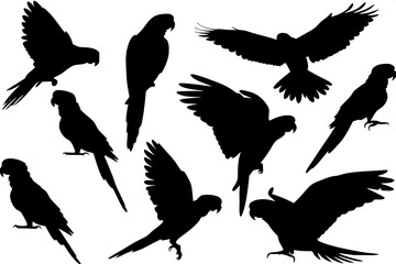 "Flat vector silhouettes of multiple parrot and cockatoo species, black outlines only, positioned in flight and perching, evenly distributed on a white canvas."