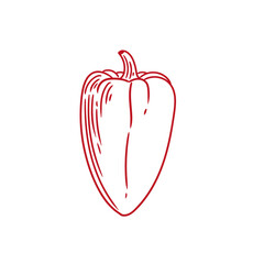 Original hand-drawn illustration of a spicy poblano pepper in a minimalist style. Illustrations for posters, cards, and graphic design.