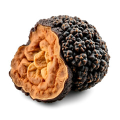 Fototapeta premium black truffle, tuber aestivum, white background