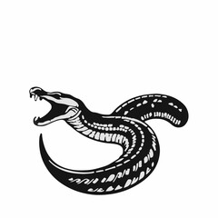 Bolivian Anaconda Image