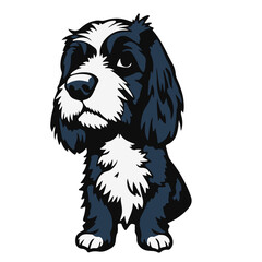 Blue Picardy Spaniel Image