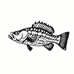 Black Crappie Animal Icon