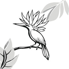Bird of Paradise Animal Icon