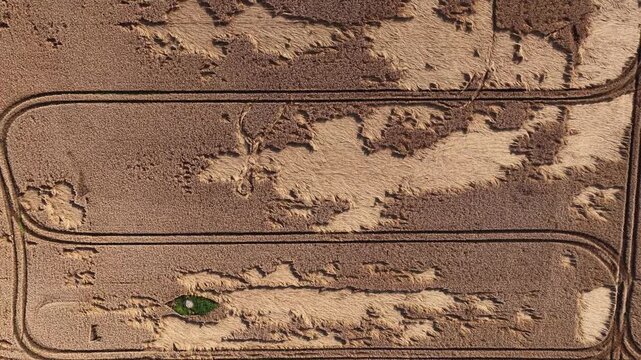Drone footage showing a golden wheat field with visible damage, irregular bare patches, and tractor tire tracks forming parallel lines across the landscape.