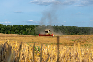 Fototapeta premium Harvesting season in the countryside with a combine harvester working in a golden field under a clear sky