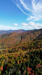 Autumnal foliage blankets mountain ranges under a vibrant blue sky.